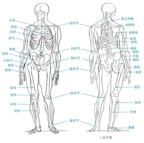 北京清美屹立暑假班结业作品