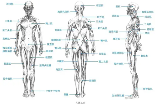 北京清美屹立暑假班结业作品