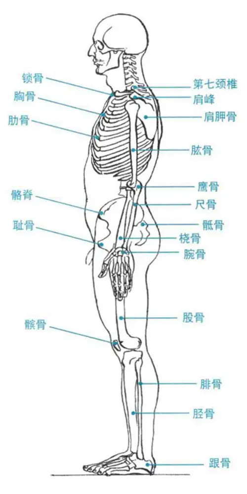 北京清美屹立暑假班结业作品