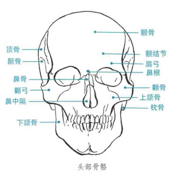 北京清美屹立暑假班结业作品