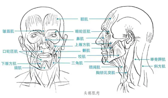 北京清美屹立暑假班结业作品