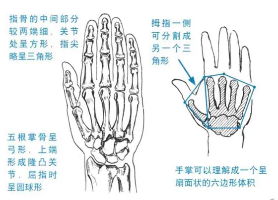 北京清美屹立暑假班结业作品