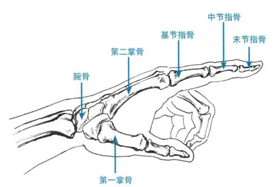 北京清美屹立暑假班结业作品