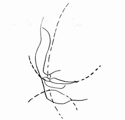 名家素描作品嘴巴解析欣赏